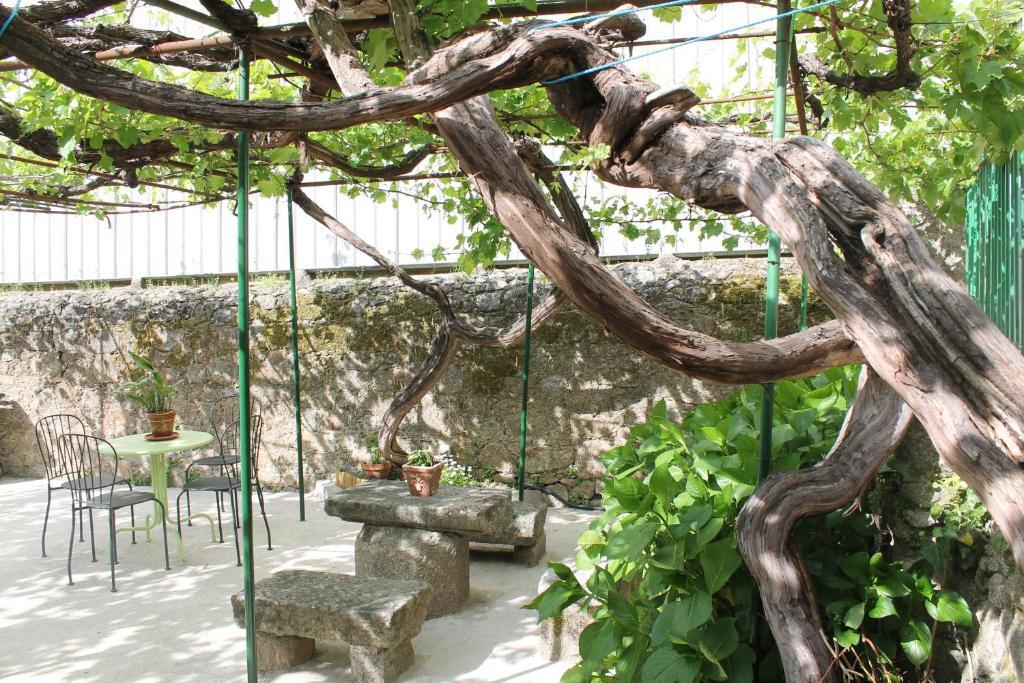Casa Jardin De La Plata Lägenhet Banos De Montemayor Exteriör bild