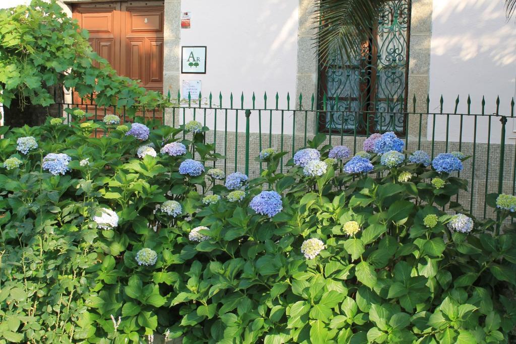 Casa Jardin De La Plata Lägenhet Banos De Montemayor Exteriör bild